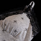 Midnight Bows Pajama Set